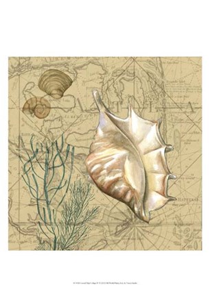 Coastal Map Collage IV by Vision Studio art print