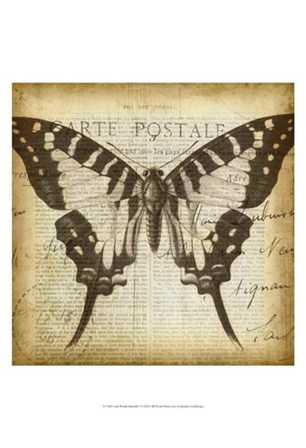 Carte Postale Butterfly I by Jennifer Goldberger art print