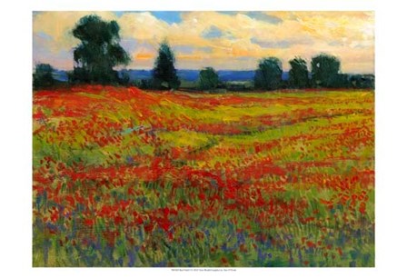 Red Field I by Timothy O&#39;Toole art print