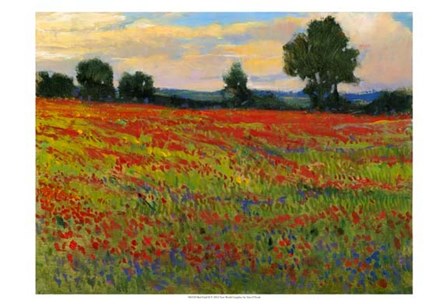 Red Field II by Timothy O&#39;Toole art print