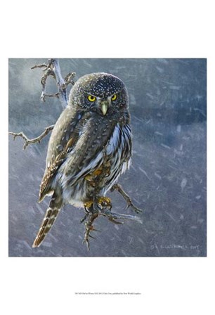 Owl in Winter II by Chris Vest art print
