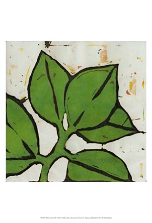Planta Green III by Andrea Davis art print