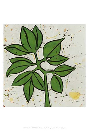 Planta Green IX by Andrea Davis art print