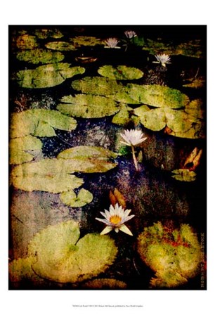 Lily Ponds VIII by Robert McClintock art print