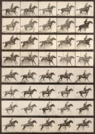 Jumping a Hurdle by Eadward Muybridge art print