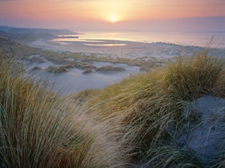 Budle, Misty Sunset by Joe Cornish art print