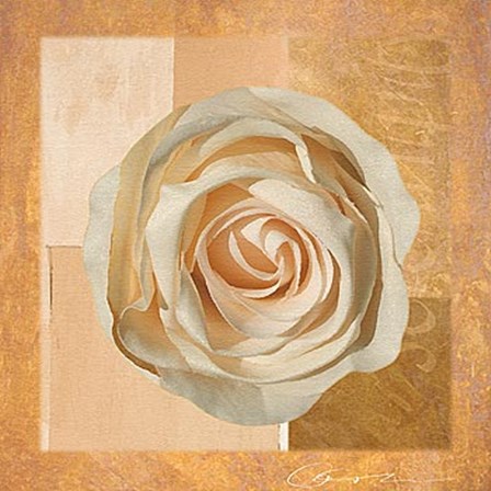 Warm Rose I by Lucy Meadows art print