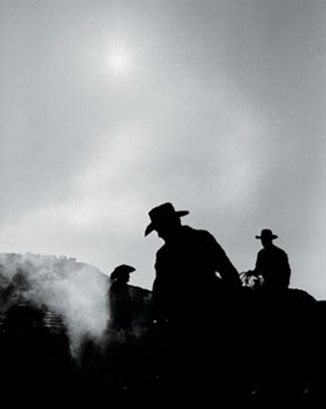 Rodeo IV by Andrew Geiger art print