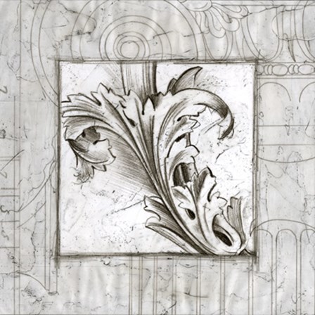 Acanthus Detail III by Ethan Harper art print