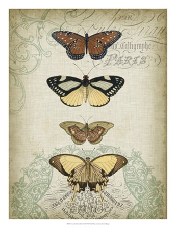 Cartouche &amp; Butterflies I by Jennifer Goldberger art print