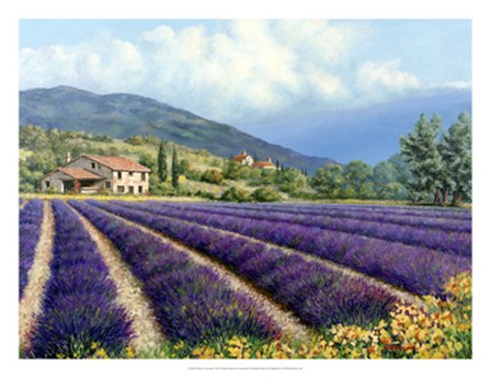 Fields Of Lavender by Michael Swanson art print