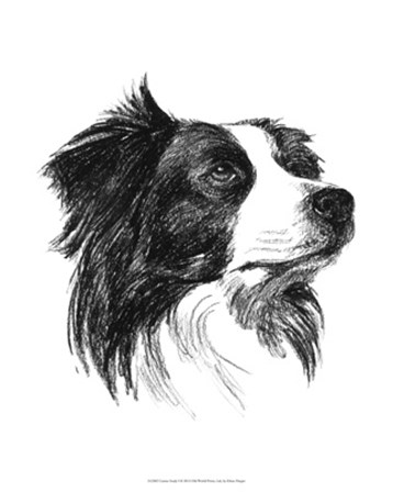 Canine Study I by Ethan Harper art print