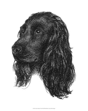 Canine Study IV by Ethan Harper art print