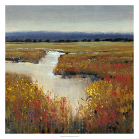Marsh Land I by Timothy O&#39;Toole art print