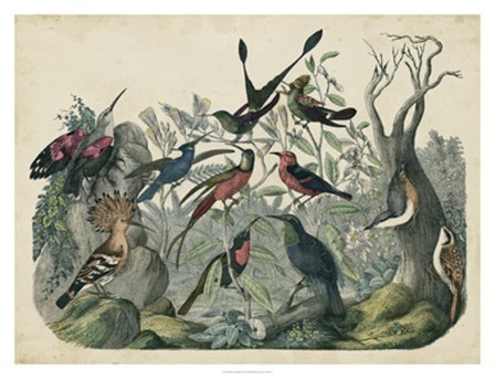 Habitat for Birds art print