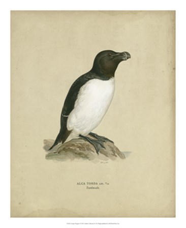 Antique Penguin I by Von Wright art print