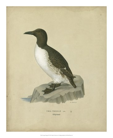 Antique Penguin II by Von Wright art print
