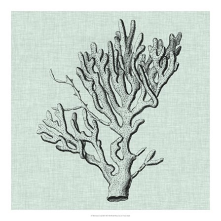 Serene Coral III by Vision Studio art print
