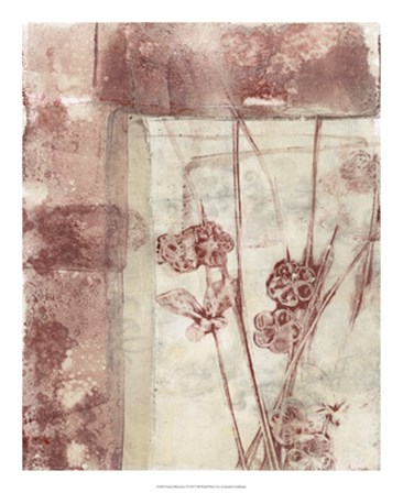 Framed Blossoms I by Jennifer Goldberger art print
