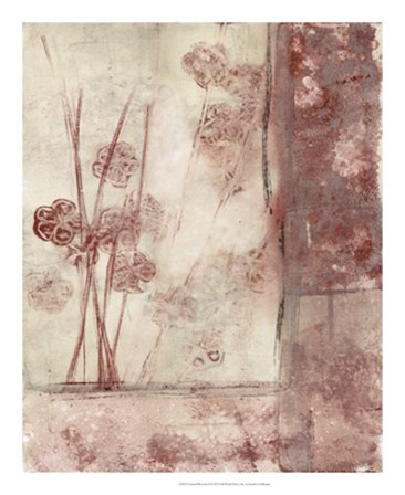 Framed Blossoms II by Jennifer Goldberger art print