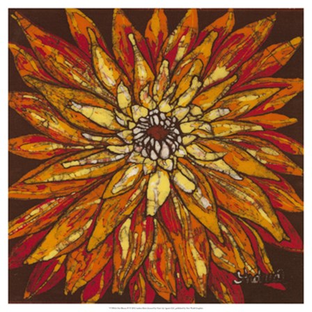 Fire Bloom IV by Andrea Davis art print