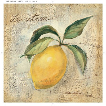 Le Citron by Silvia Vassileva art print