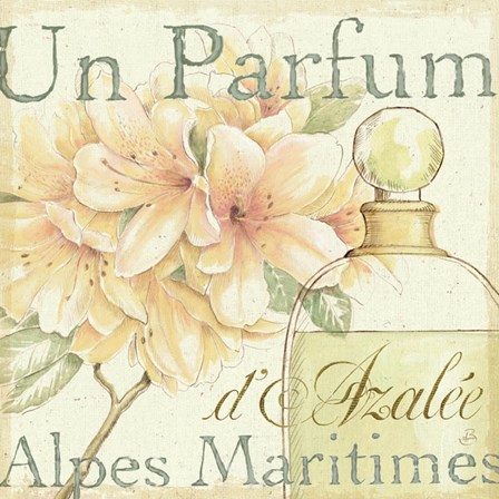 Fleurs and Parfum III by Daphne Brissonnet art print