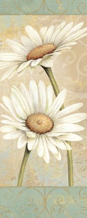 Beautiful Daisies II by Daphne Brissonnet art print