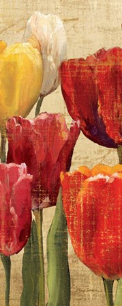 Tulip Fantasy on Cream III by Marilyn Hageman art print