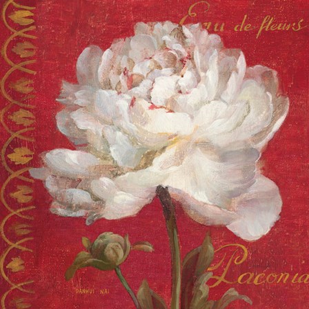 Paris Blossom IV by Danhui Nai art print