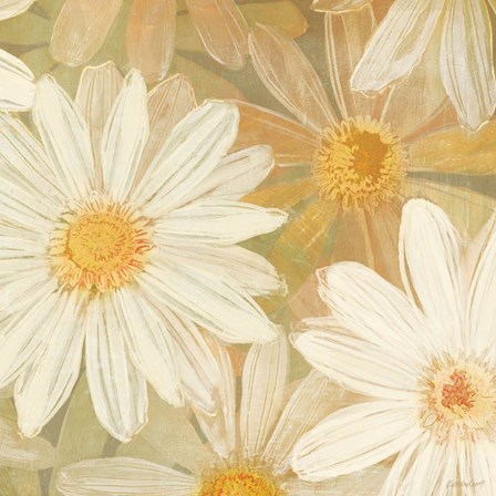 Daisy Story Square II by Kathrine Lovell art print