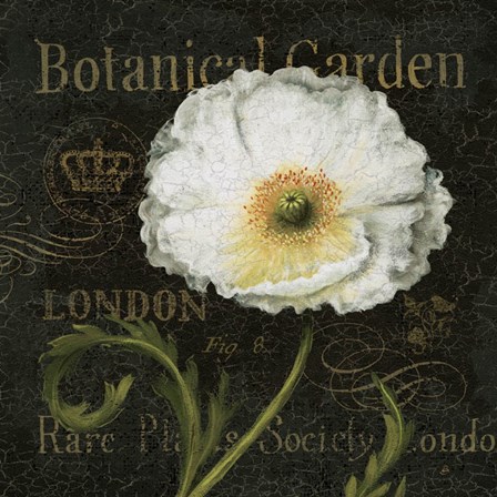 Botanical Garden II by Daphne Brissonnet art print