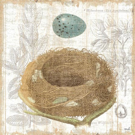 Botanical Nest III by Moira Hershey art print
