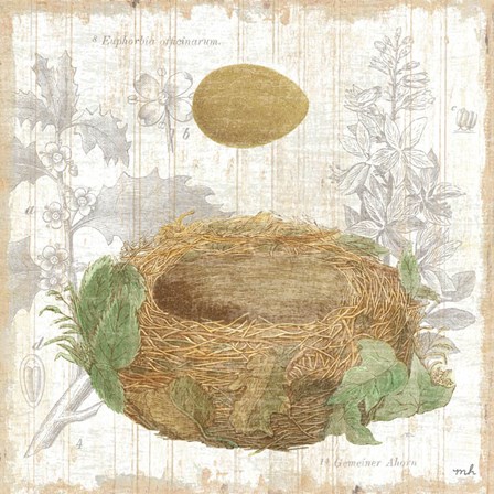 Botanical Nest IV by Moira Hershey art print