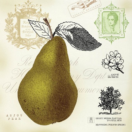 Pear Notes by Studio Mousseau art print