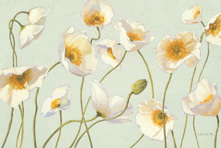 White and Bright Poppies by Shirley Novak art print