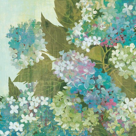 Grandiflora Bloom by Kathrine Lovell art print
