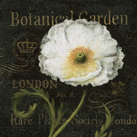 Botanical Garden II by Daphne Brissonnet art print