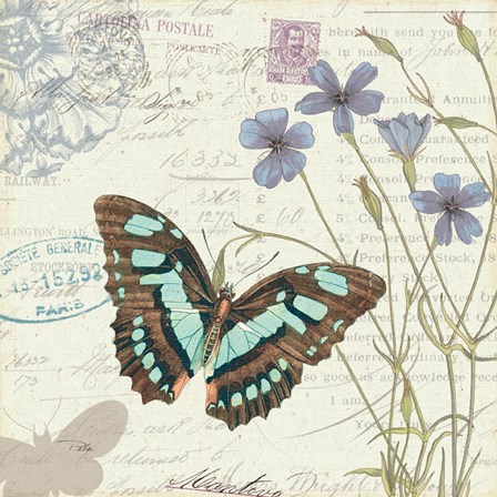 Papillon Tales I by Pela Studio art print