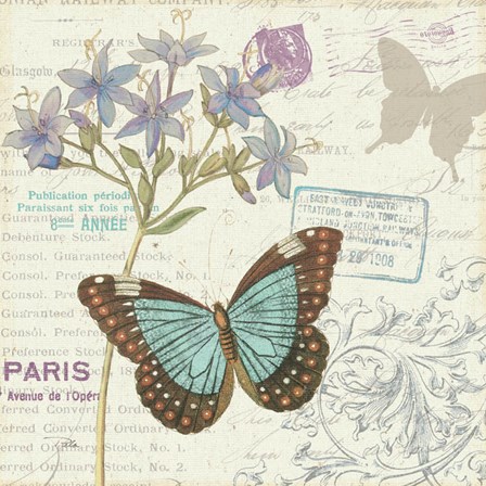 Papillon Tales II by Pela Studio art print