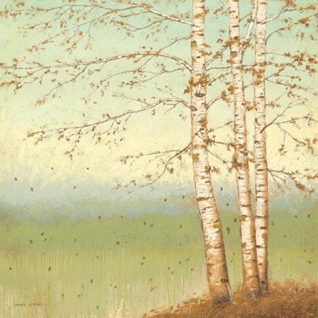 Golden Birch II with Blue Sky by James Wiens art print