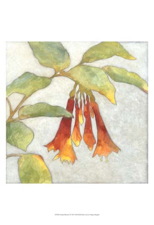 Fuchsia Blooms I by Megan Meagher art print