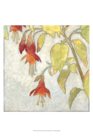 Fuchsia Blooms II by Megan Meagher art print