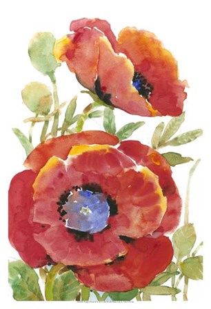 Poppy Floral II by Timothy O&#39;Toole art print