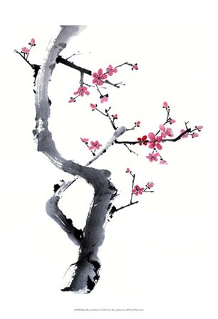 Plum Blossom Branch I by Nan Rae art print