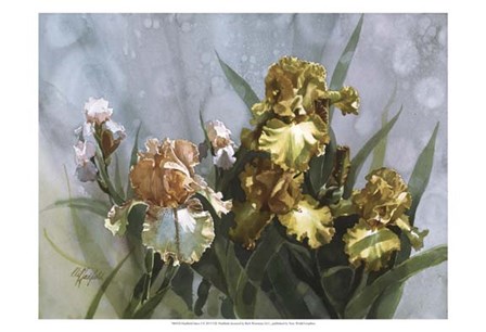 Hadfield Irises I by Clif Hadfield art print