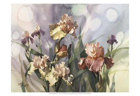 Hadfield Irises V by Clif Hadfield art print