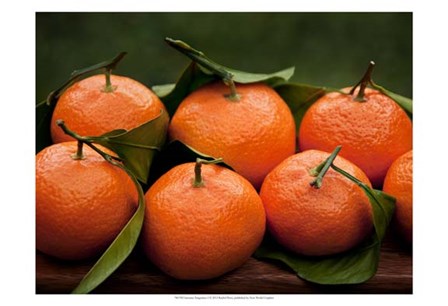 Satsuma Tangerines I by Rachel Perry art print