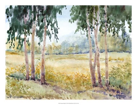 Luminous Meadow II by Timothy O&#39;Toole art print