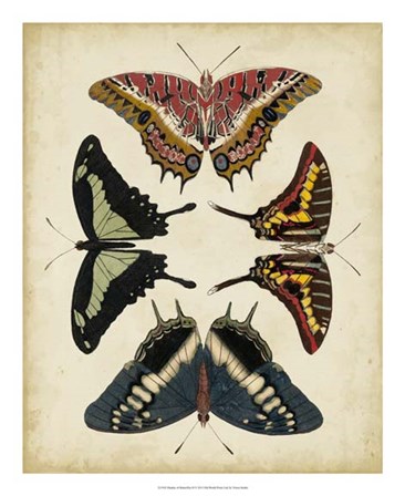 Display of Butterflies II by Vision Studio art print